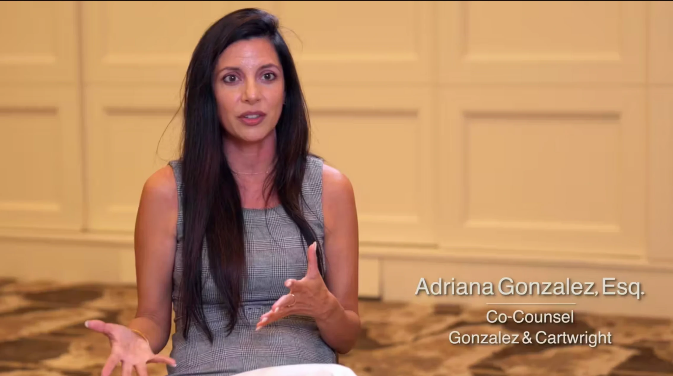 Adriana Gonzalez | Co-Counsel Testimonial