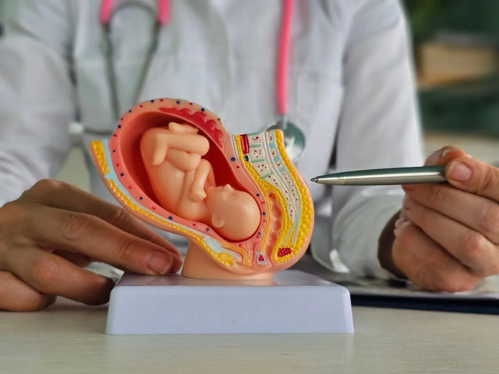 Why Presuit Investigations, Expert Affidavits, and 90-Day Windows Drive Case Strategy